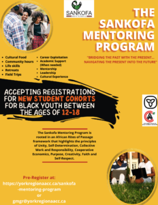 Sankofa Mentorship Program